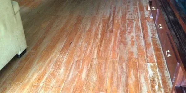 Read more about the article Các mẹo chống ẩm mốc cho sàn gỗ tại văn phòng và nhà cửa