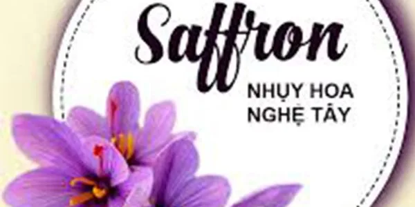 Read more about the article Tác dụng phụ cần lưu ý của Saffron – nhụy hoa nghệ tây